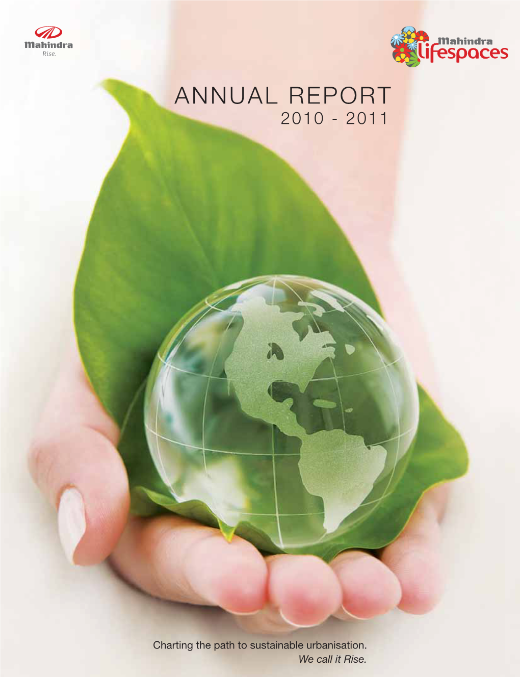 Annual Report 2011