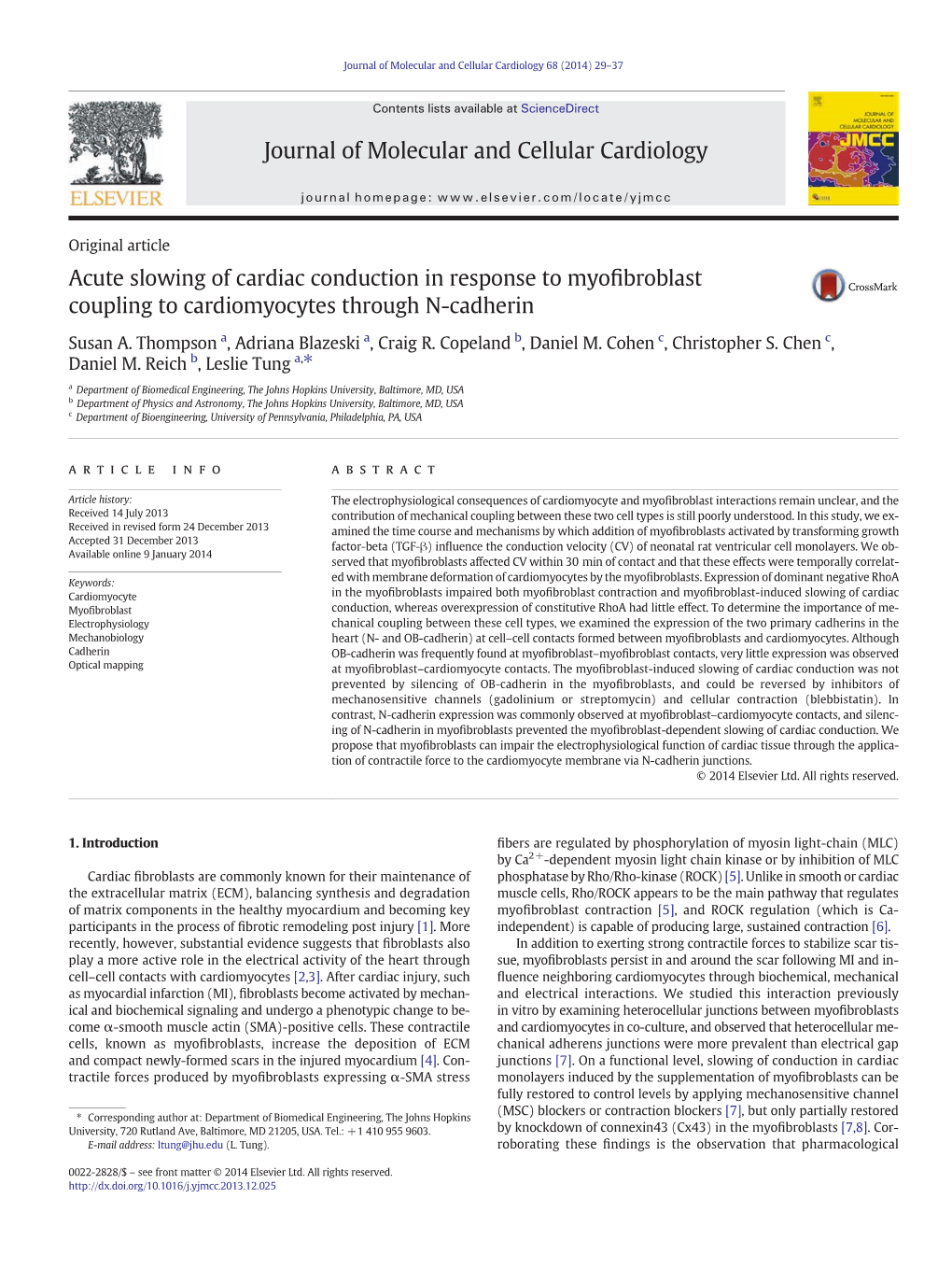 Acute Slowing of Cardiac Conduction in Response to Myofibroblast Coupling