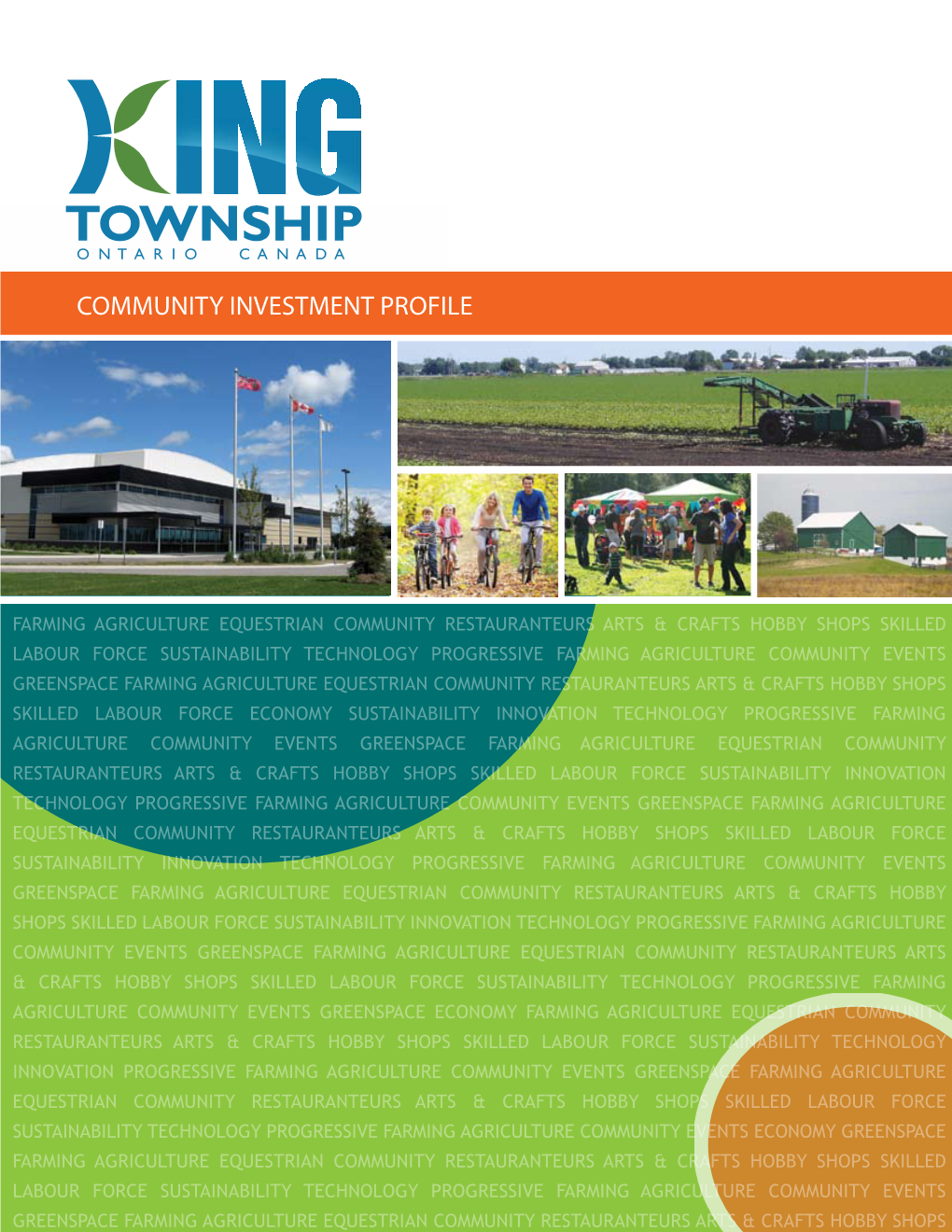 Community Investment Profile