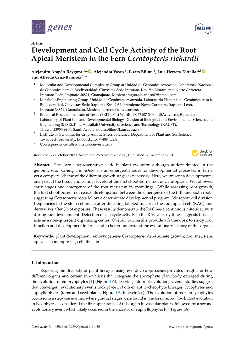 Development and Cell Cycle Activity of the Root Apical Meristem in the Fern Ceratopteris Richardii