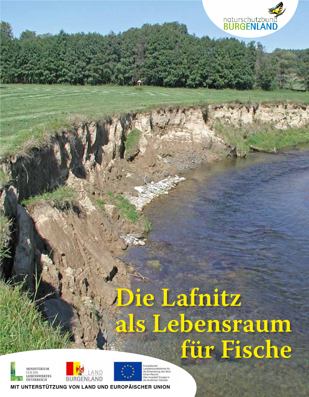 Die Lafnitz Als Lebensraum Für Fische