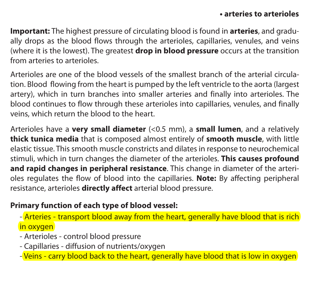 Arteries to Arterioles