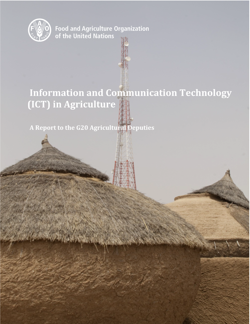 Information and Communication Technology (ICT) in Agriculture