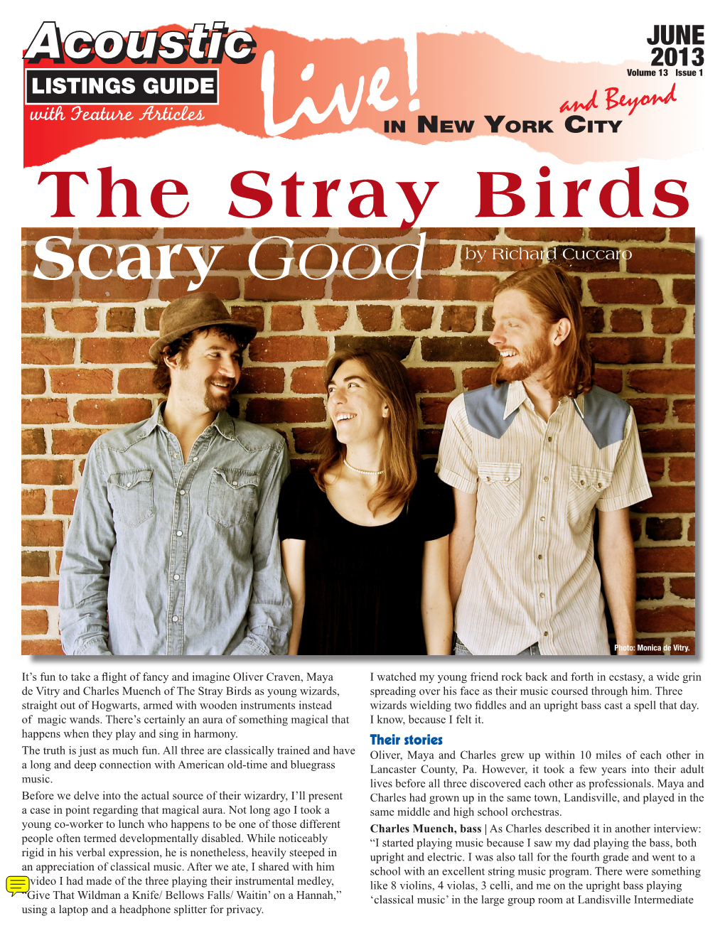 The Stray Birds Scary Good by Richard Cuccaro
