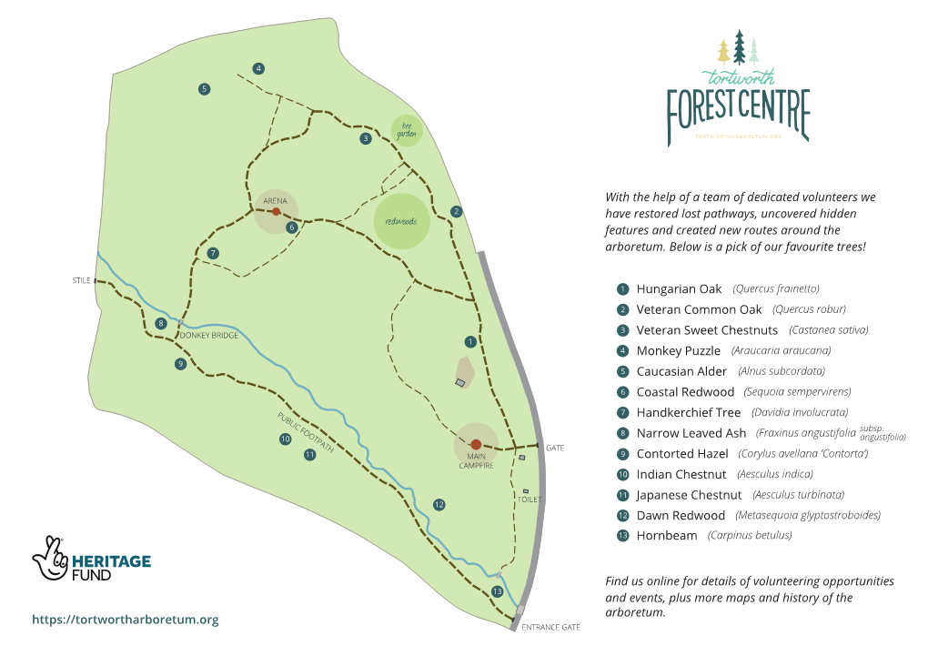 Tortworth Arboretum