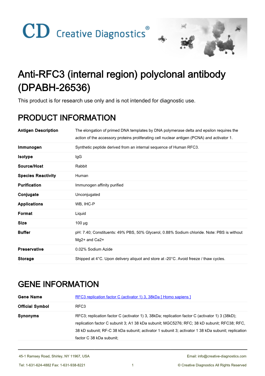 Anti-RFC3 (Internal Region) Polyclonal Antibody (DPABH-26536) This Product Is for Research Use Only and Is Not Intended for Diagnostic Use