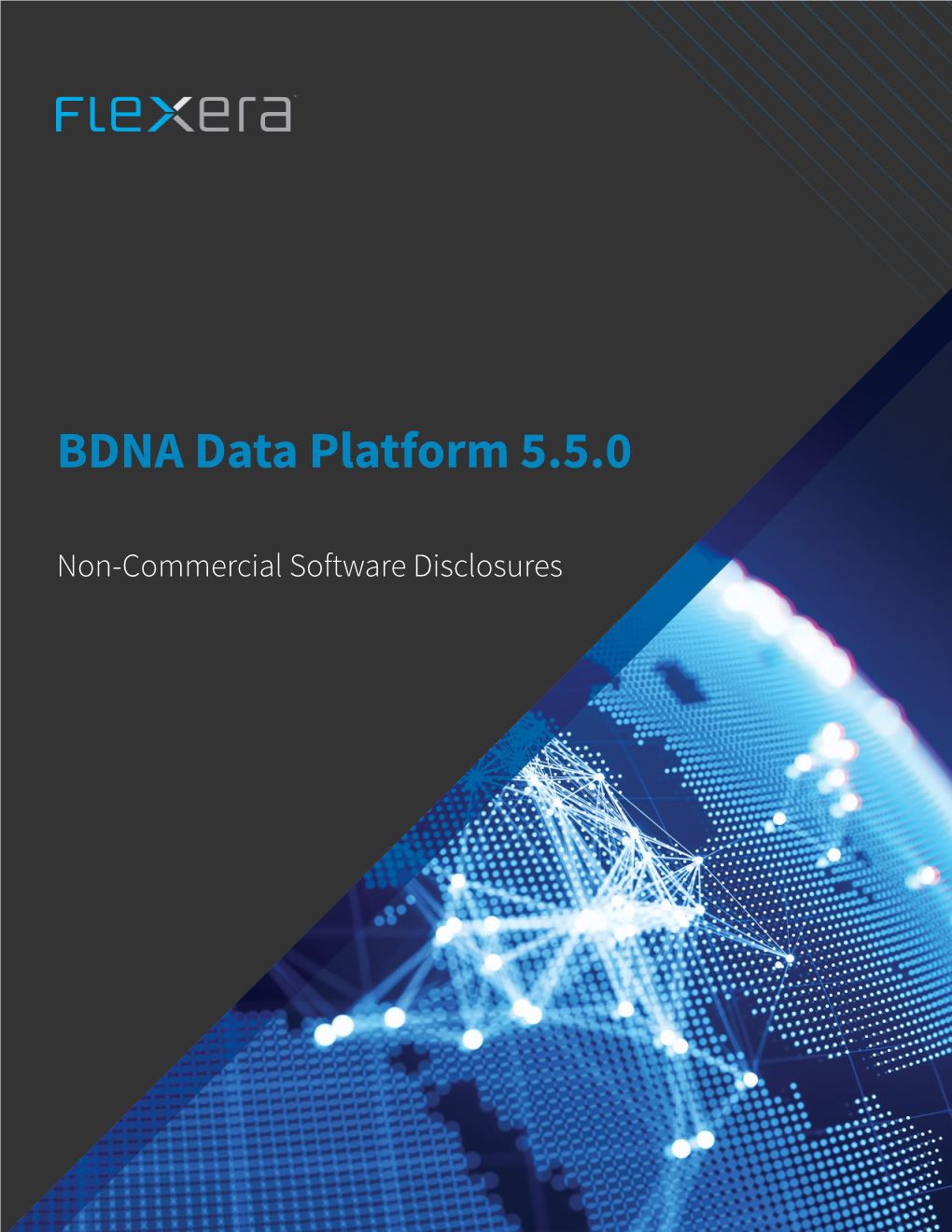 BDNA Data Platform 5.5.0