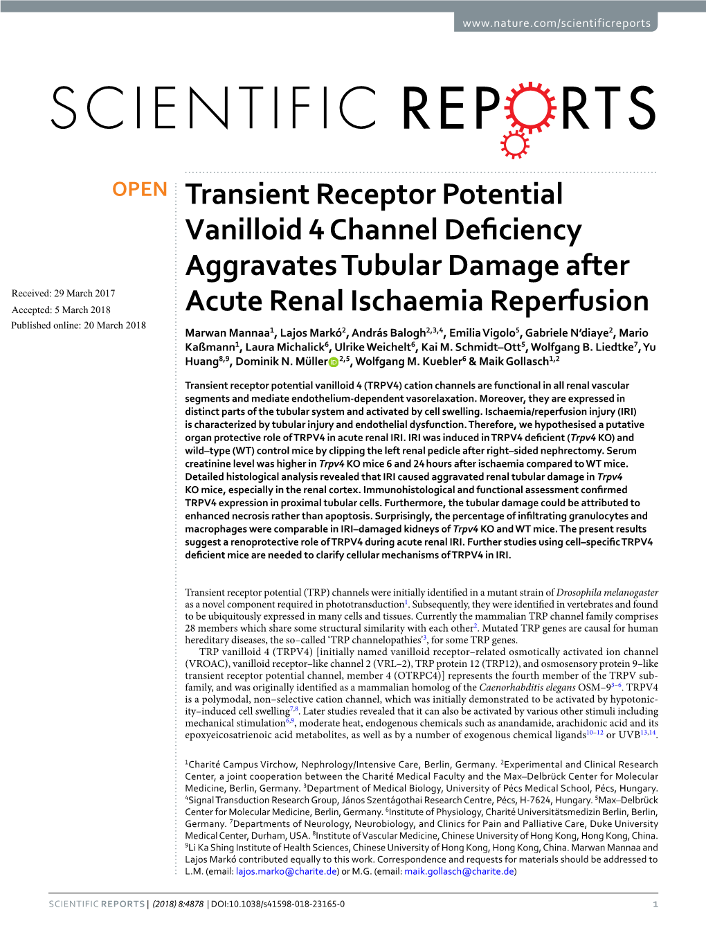 Transient Receptor Potential Vanilloid 4 Channel Deficiency Aggravates Tubular Damage After Acute Renal Ischaemia Reperfusion