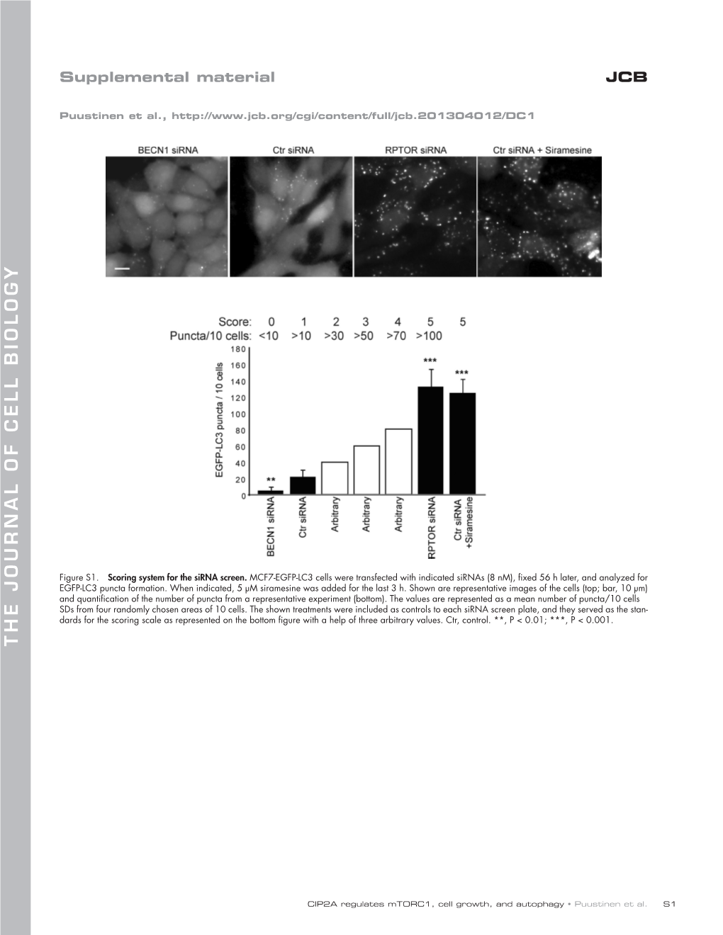 Thejournalofcellb Io Logy