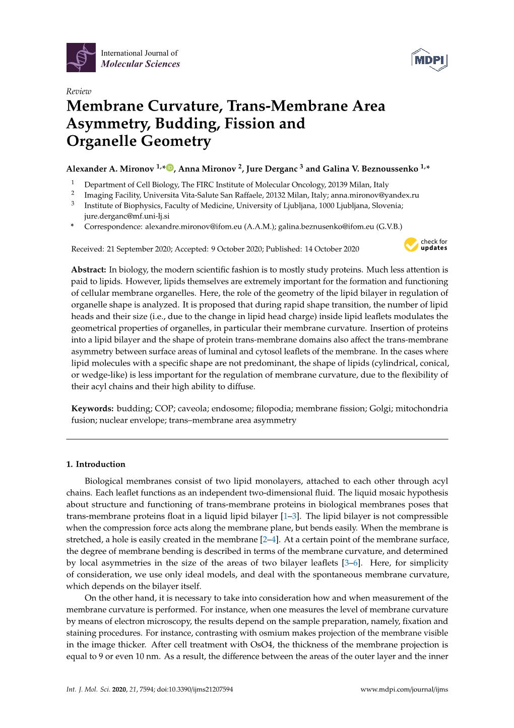 Membrane Curvature, Trans-Membrane Area Asymmetry, Budding, Fission and Organelle Geometry