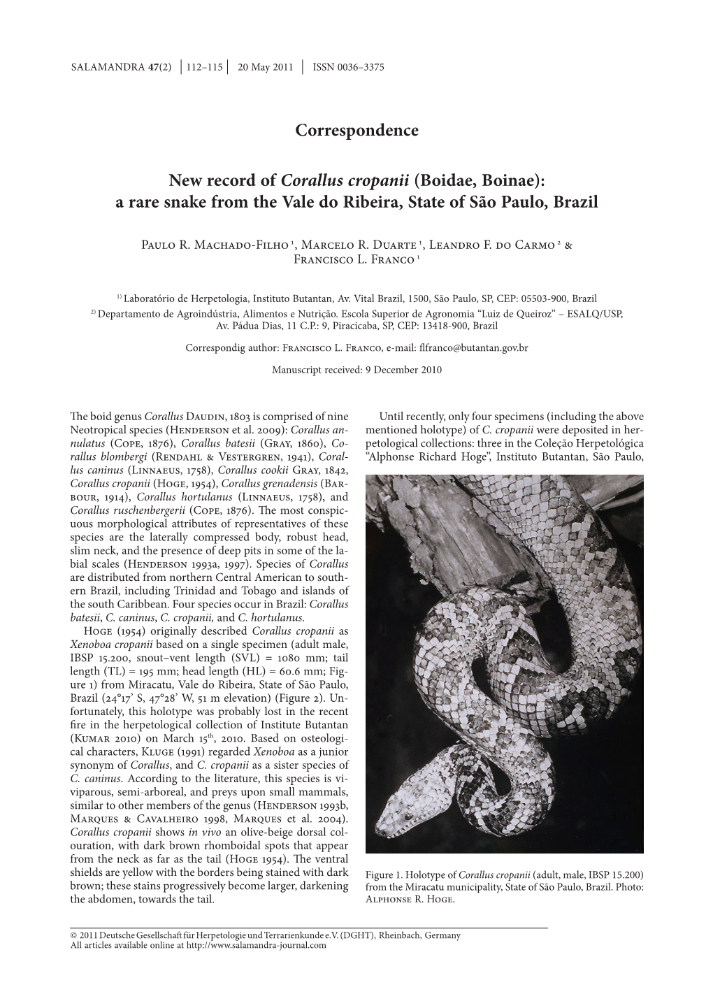 Boidae, Boinae): a Rare Snake from the Vale Do Ribeira, State of São Paulo, Brazil