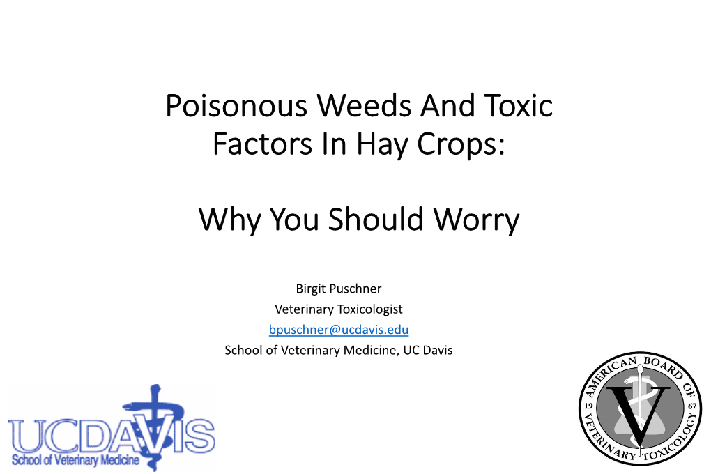 Poisonous Weeds and Toxic Factors in Hay Crops