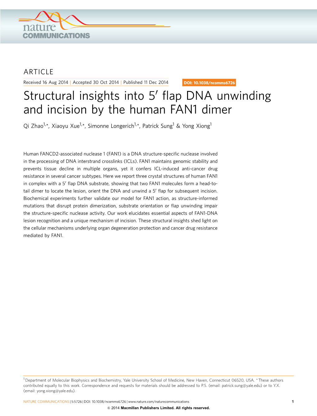 Flap DNA Unwinding and Incision by the Human FAN1 Dimer