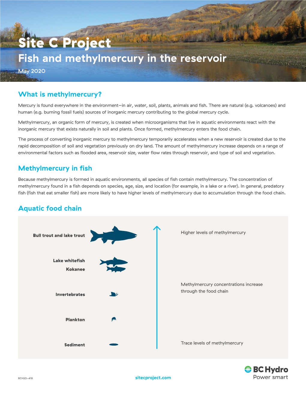 Learn More About Methylmercury in Fish