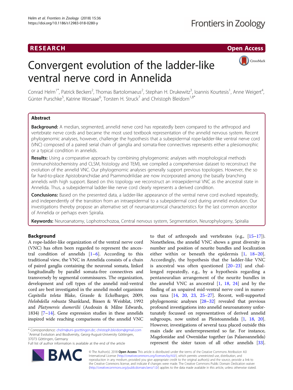 Convergent Evolution of the Ladder-Like Ventral Nerve Cord in Annelida Conrad Helm1*, Patrick Beckers2, Thomas Bartolomaeus2, Stephan H