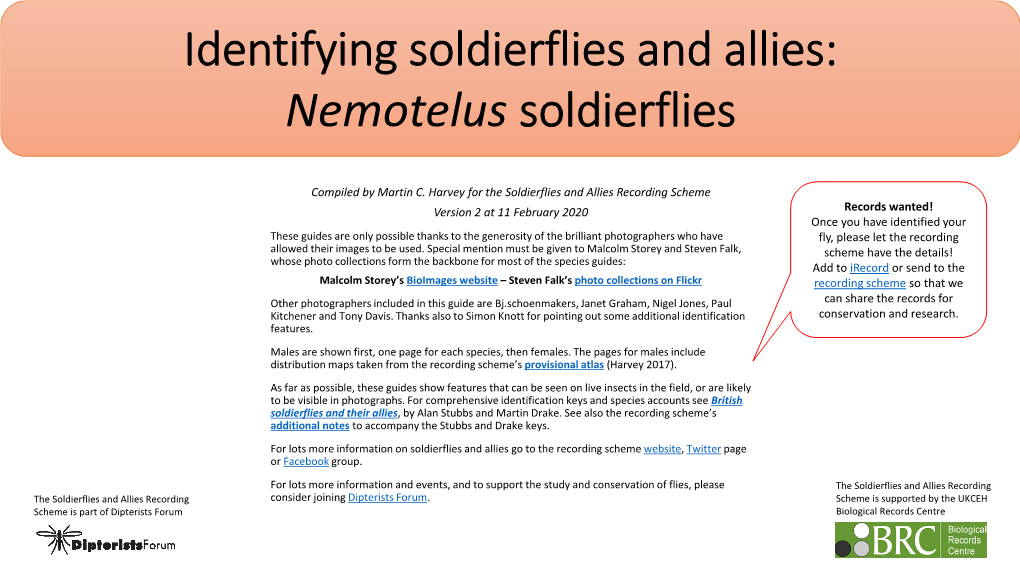 Nemotelus ID Guide