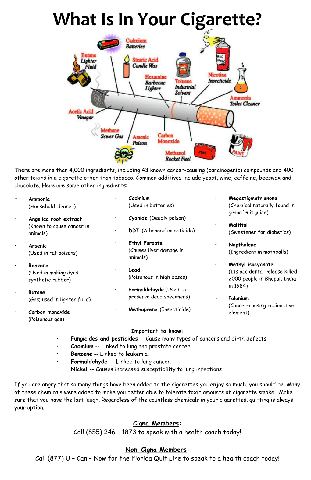 What Is in Your Cigarette?