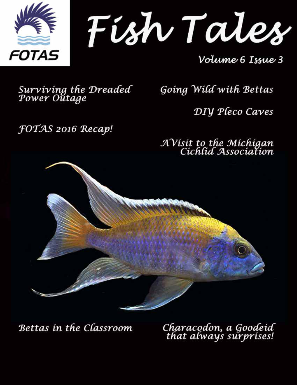 Fish Tales | in This Issue