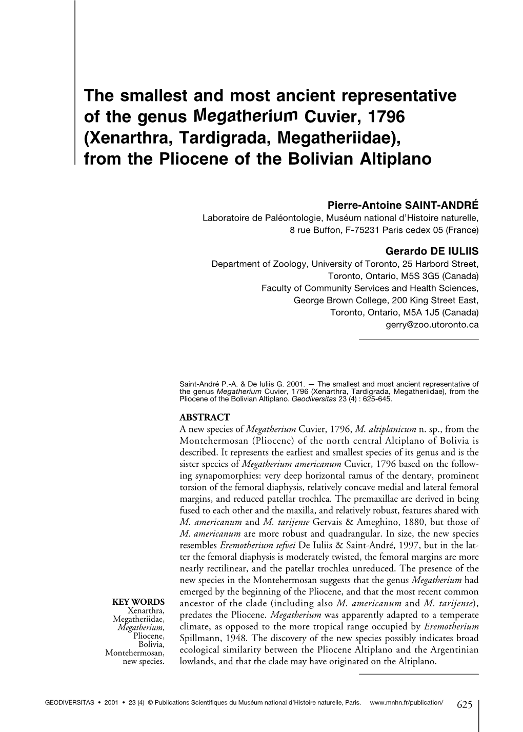 Megatherium Altiplanicum N