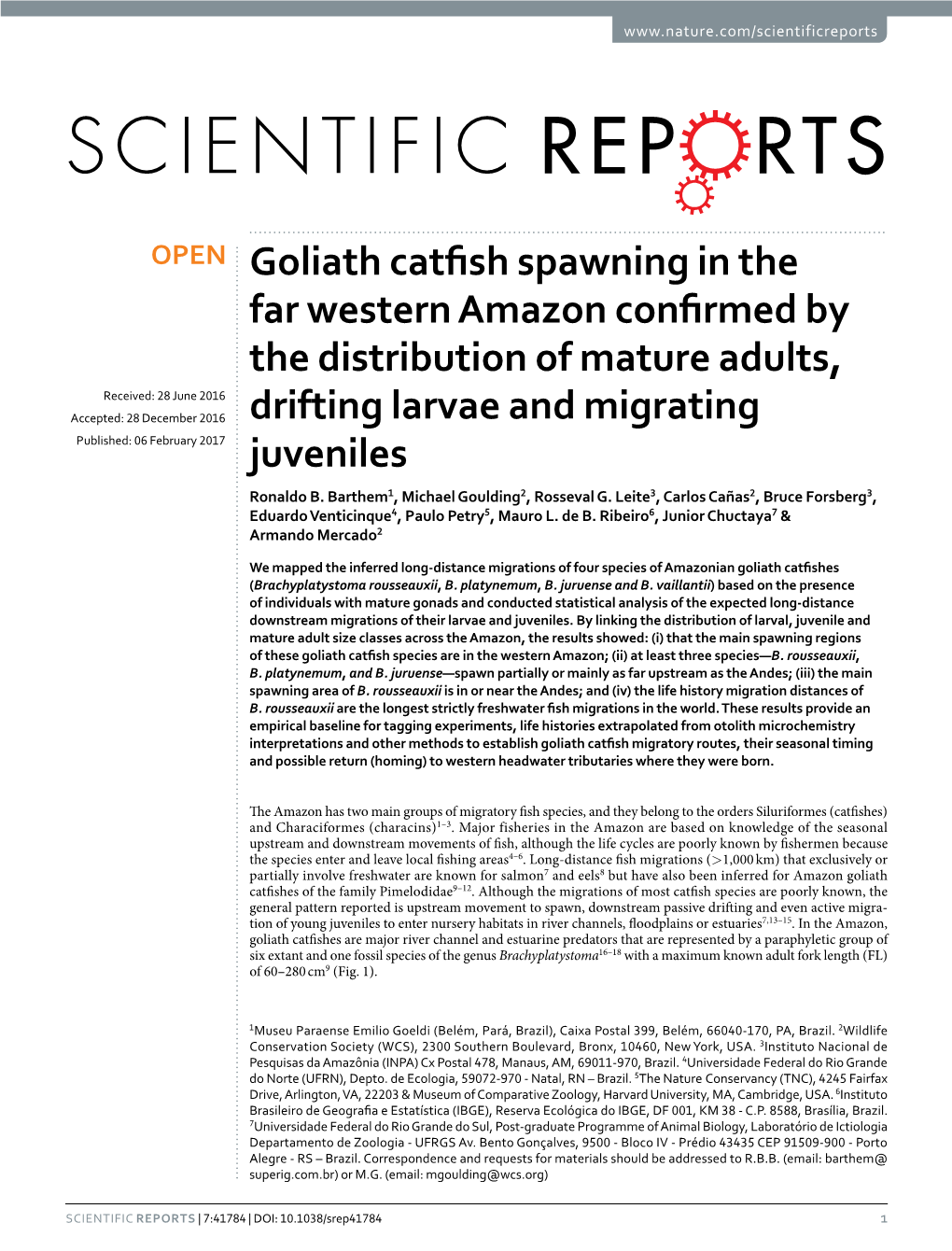 Goliath Catfish Spawning in the Far Western Amazon Confirmed by the Distribution of Mature Adults, Drifting Larvae and Migrating Juveniles