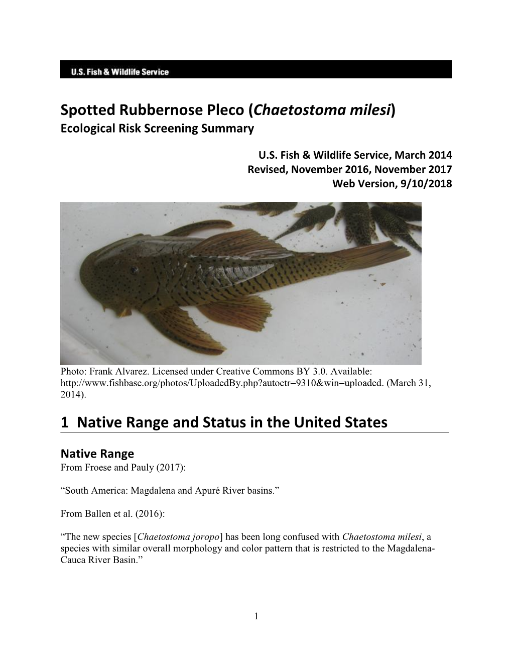 Chaetostoma Milesi) Ecological Risk Screening Summary