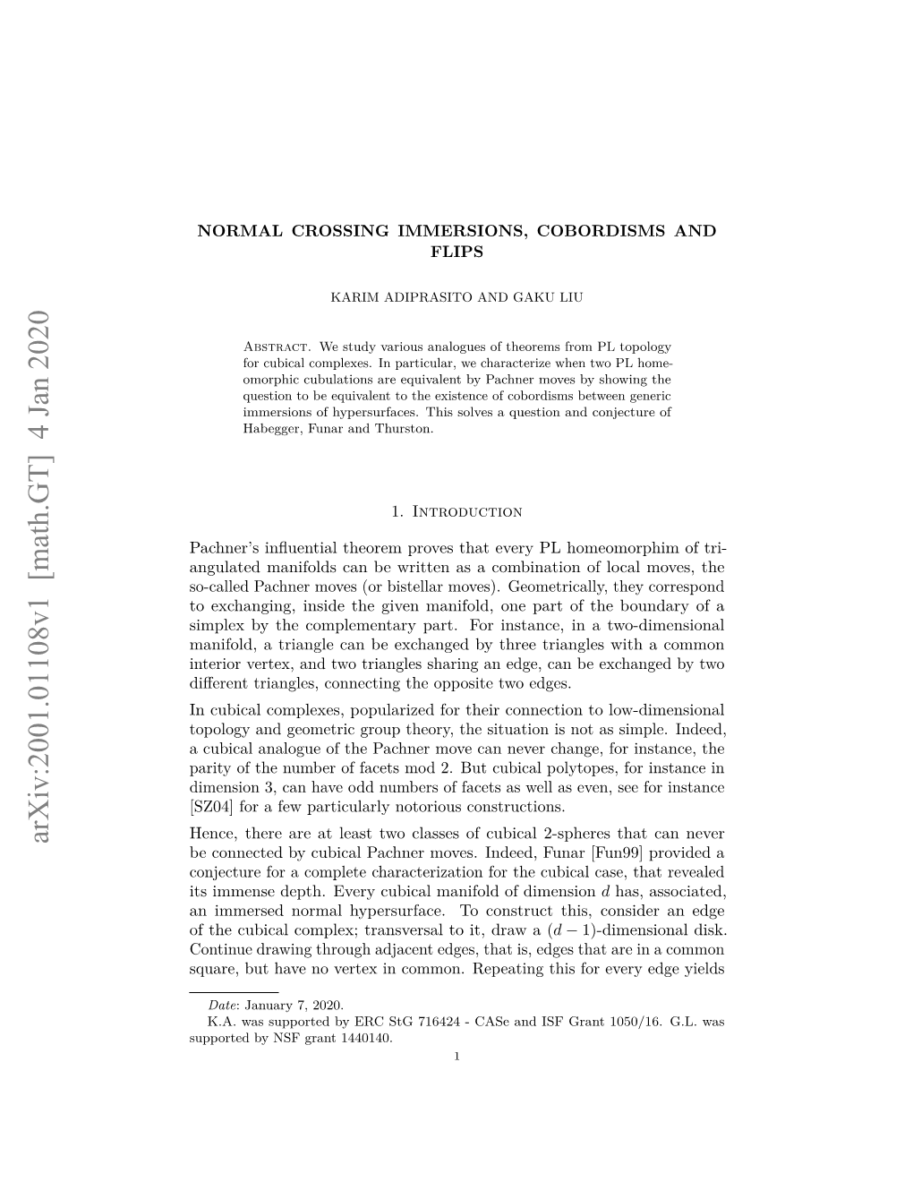 Normal Crossing Immersions, Cobordisms and Flips