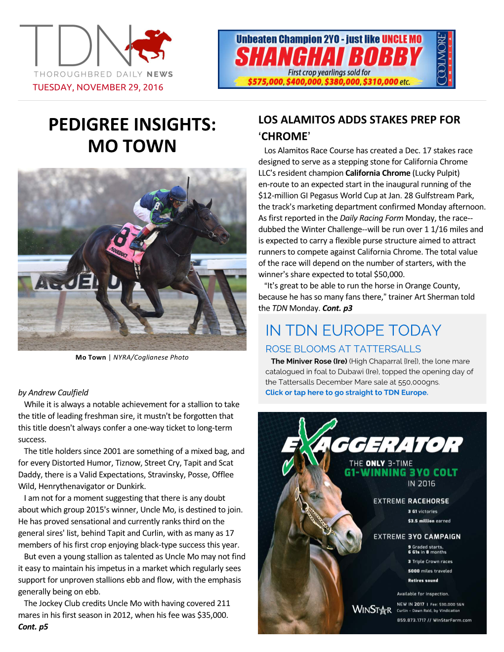 PEDIGREE INSIGHTS: LOS ALAMITOS ADDS STAKES PREP for >CHROME= MO TOWN Los Alamitos Race Course Has Created a Dec