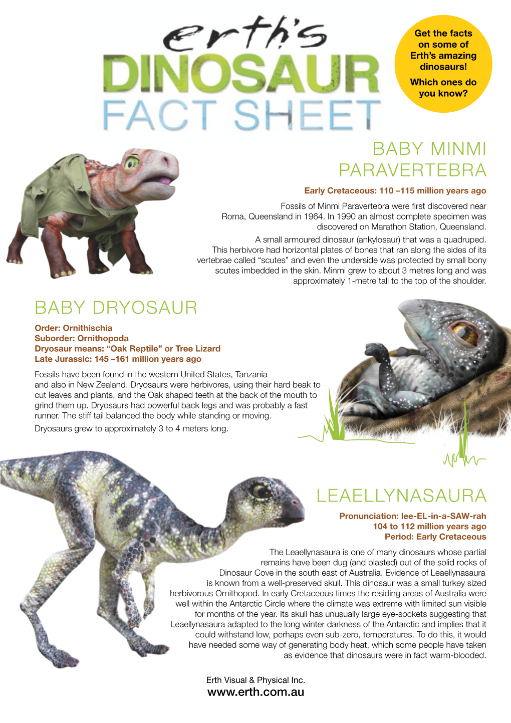 Erth's Dinosaur Fact Sheet Trex