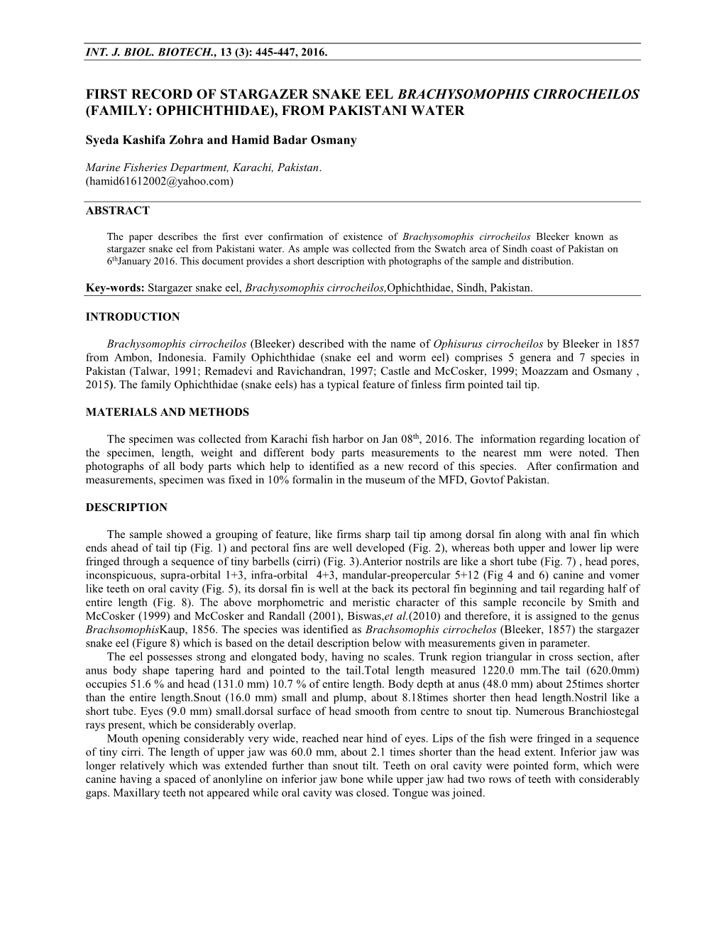 First Record of Stargazer Snake Eel Brachysomophis Cirrocheilos (Family: Ophichthidae), from Pakistani Water