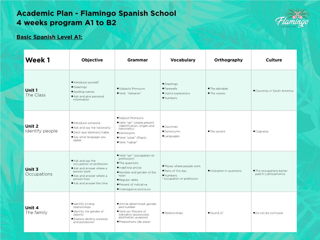 Academic Plan - Flamingo Spanish School 4 Weeks Program A1 to B2