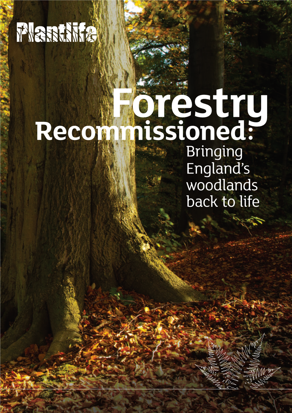 Forestry Recommissioned: Bringing England's Woodlands Back to Life