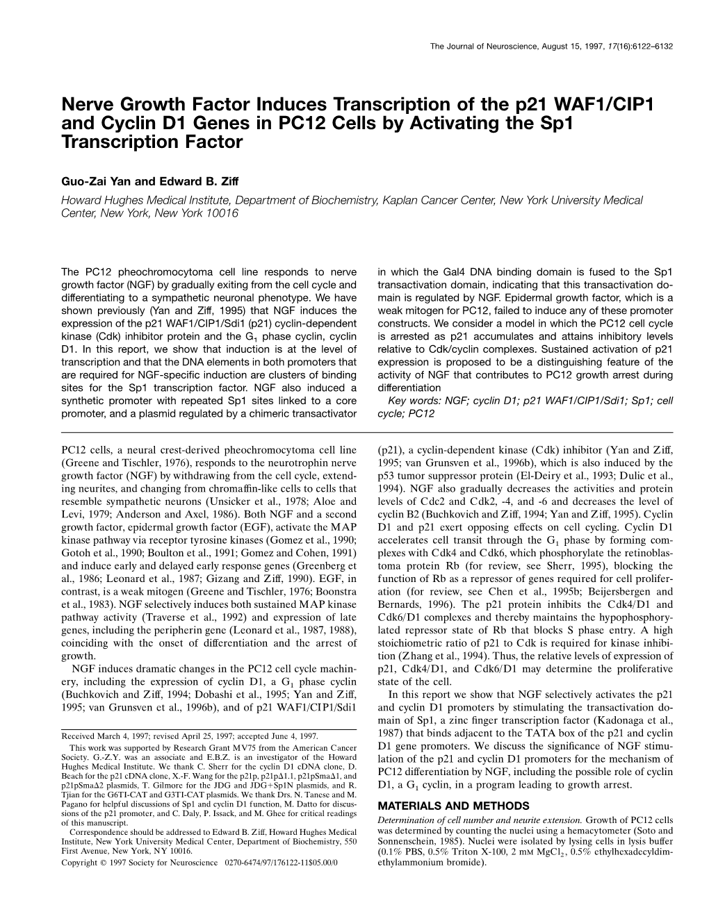 Nerve Growth Factor Induces Transcription of the P21 WAF1/CIP1 and Cyclin D1 Genes in PC12 Cells by Activating the Sp1 Transcription Factor