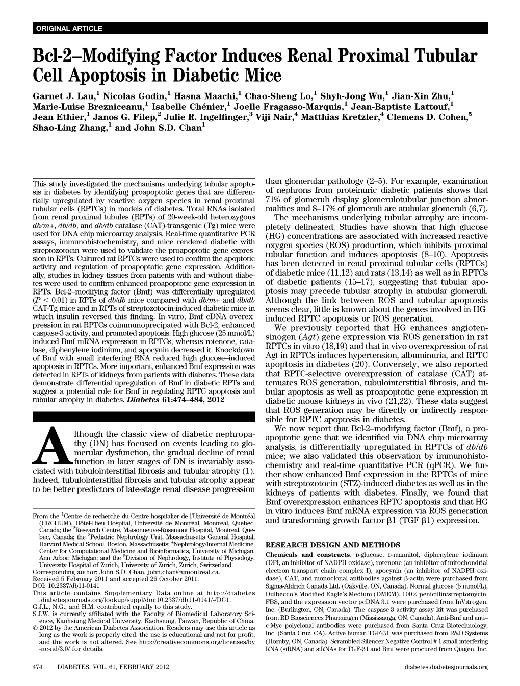 Bcl-2–Modifying Factor Induces Renal Proximal Tubular Cell Apoptosis in Diabetic Mice Garnet J