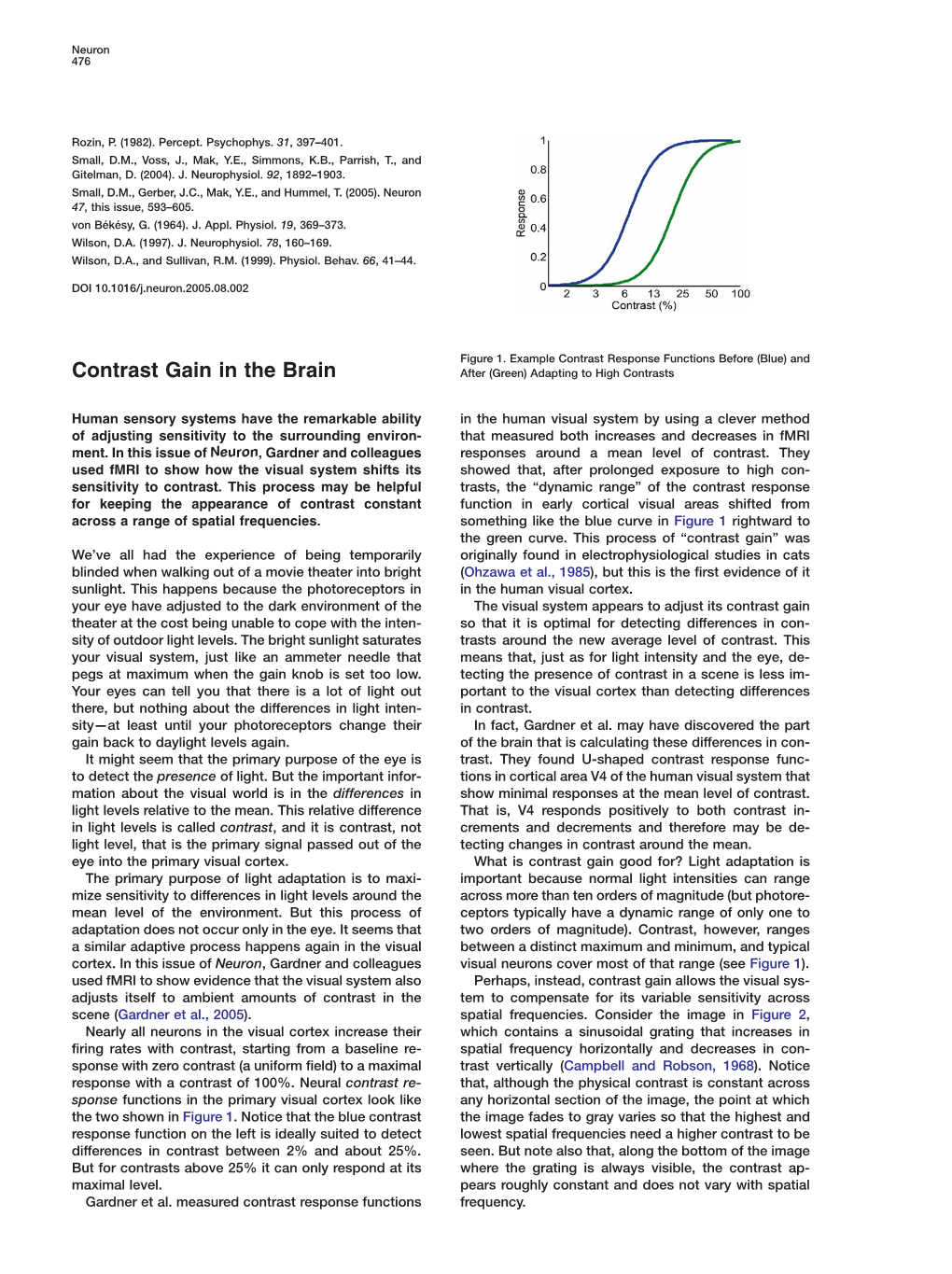 Contrast Gain in the Brain After (Green) Adapting to High Contrasts