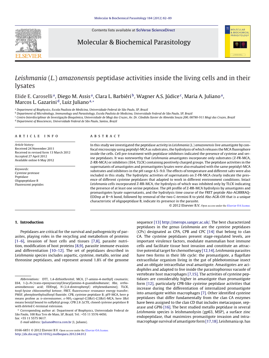 Leishmania (L.) Amazonensis Peptidase Activities Inside the Living Cells and in Their Lysates