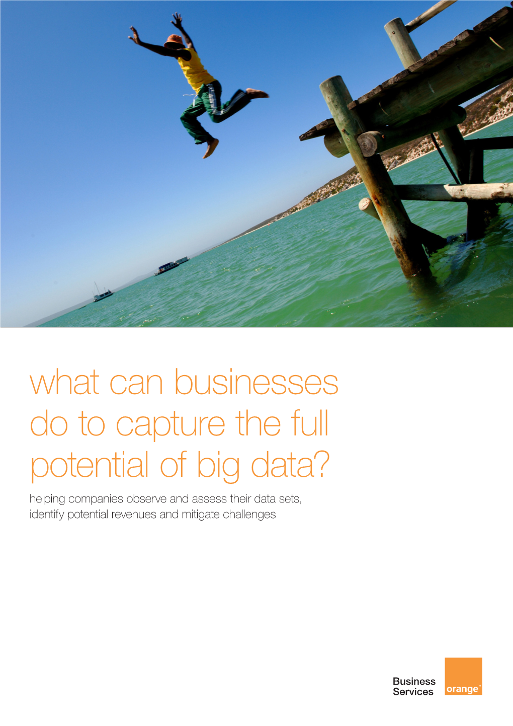 What Can Businesses Do to Capture the Full