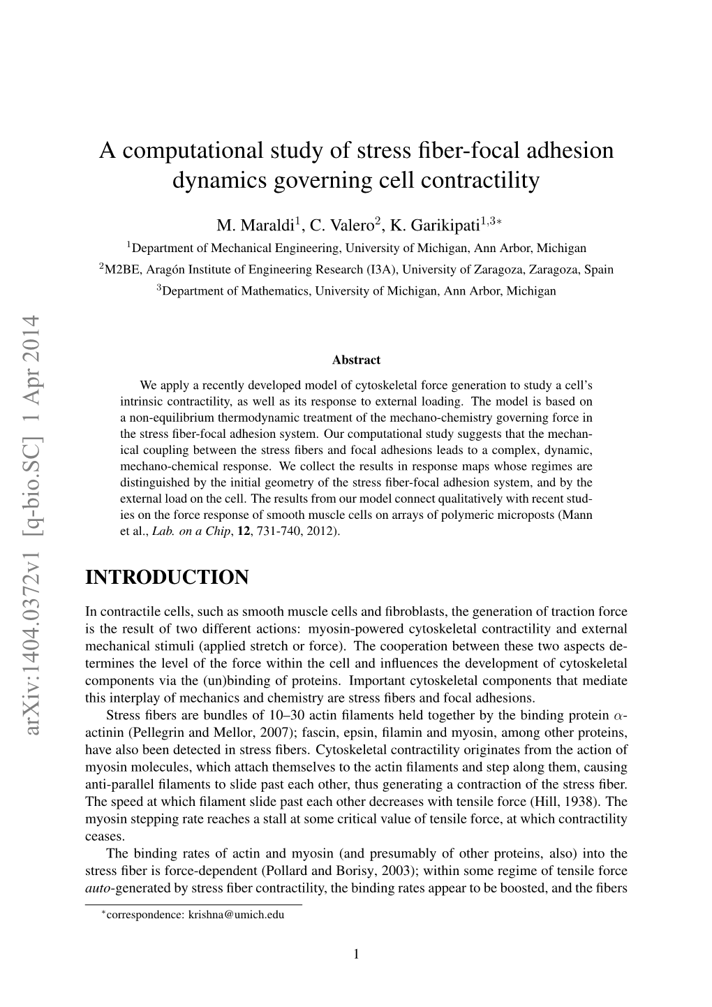 A Computational Study of Stress Fiber-Focal Adhesion Dynamics