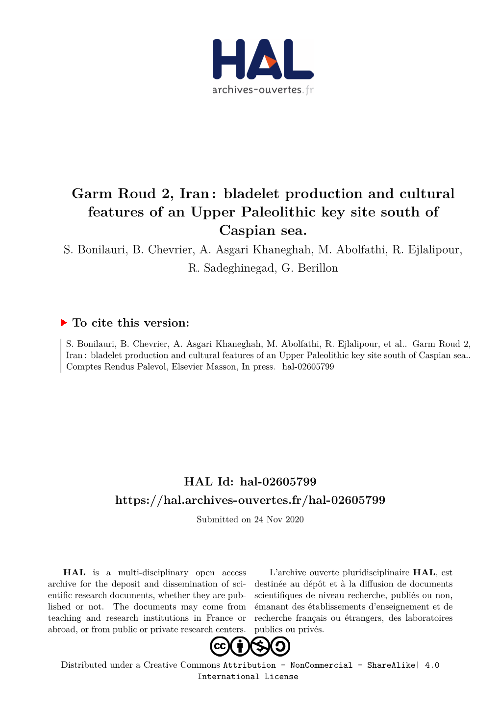 Garm Roud 2, Iran : Bladelet Production and Cultural Features of an Upper Paleolithic Key Site South of Caspian Sea