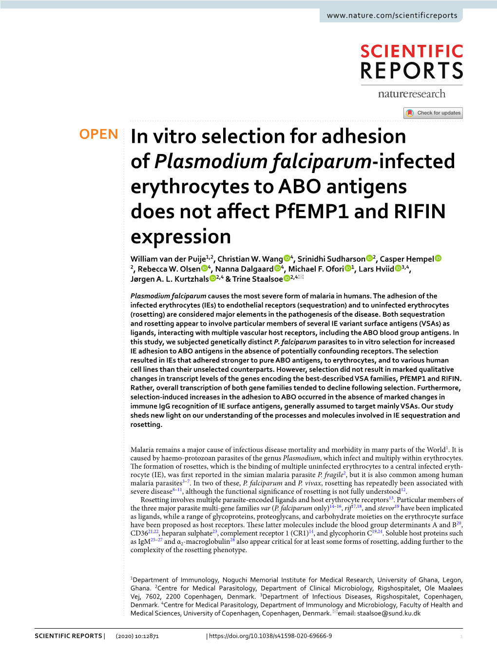 In Vitro Selection for Adhesion of Plasmodium Falciparum-Infected Erythrocytes to ABO Antigens Does Not Affect Pfemp1 and RIFIN