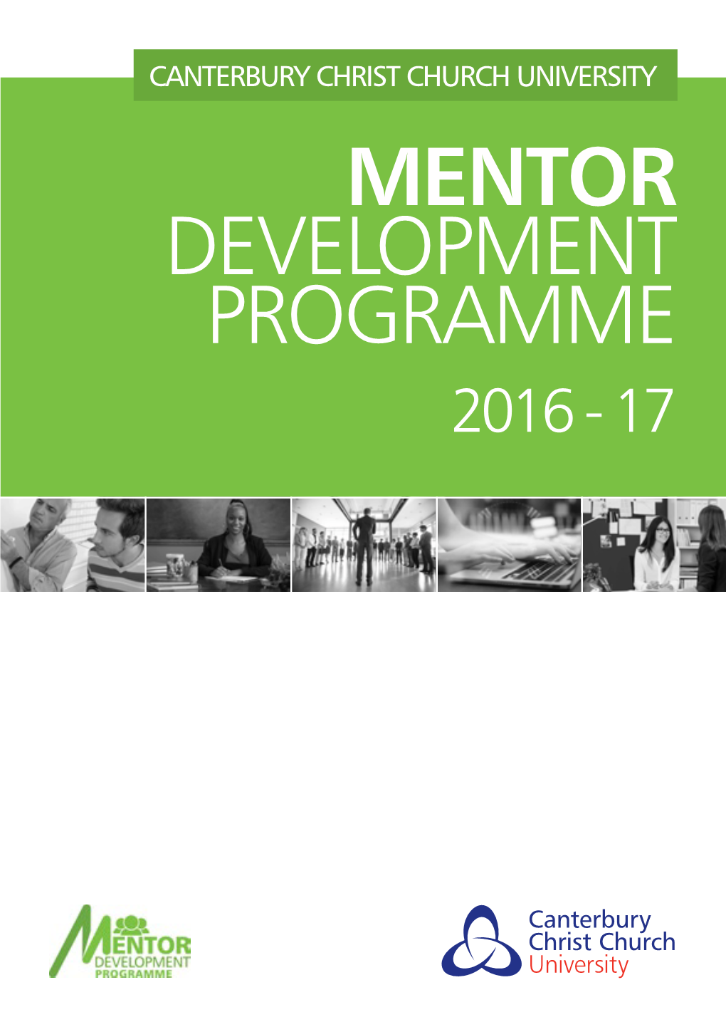 Mentor Development Programme