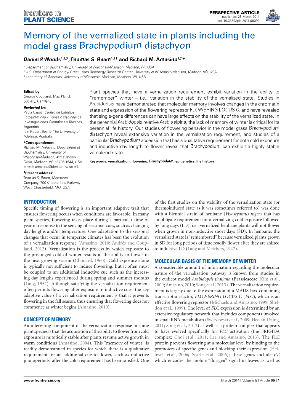 Memory of the Vernalized State in Plants Including the Model Grass Brachypodium Distachyon