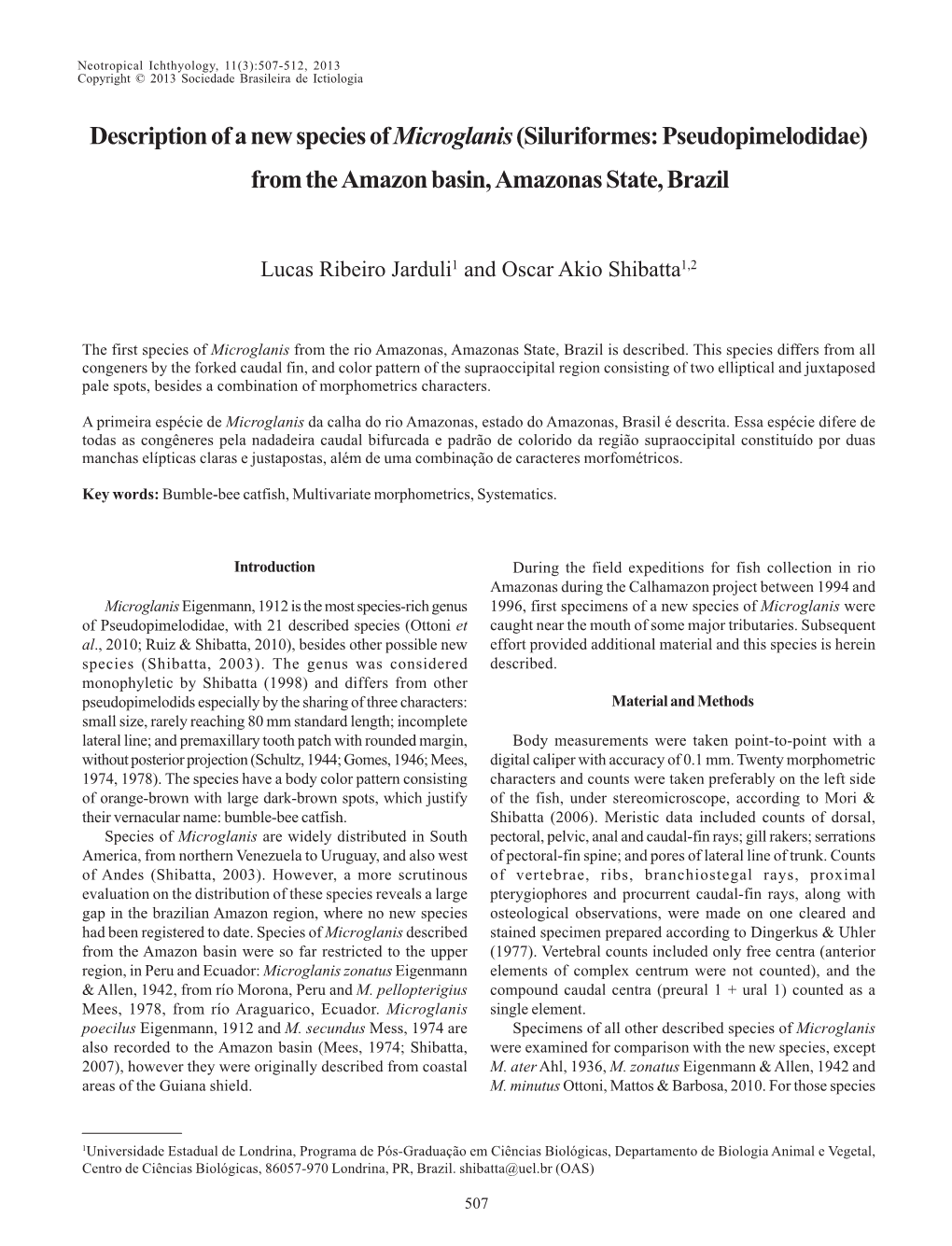 Description of a New Species of Microglanis(Siluriformes