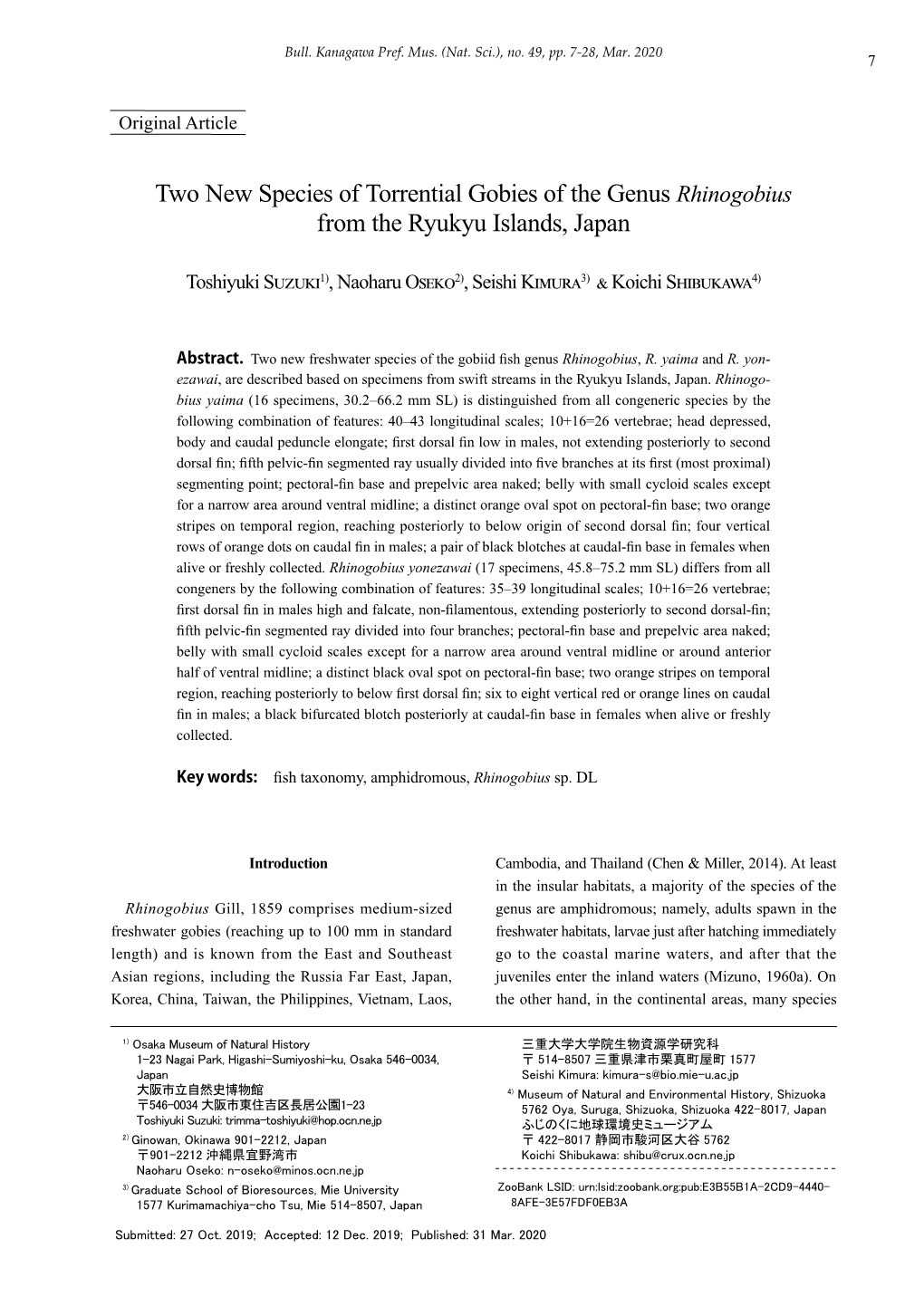 Two New Species of Torrential Gobies of the Genus Rhinogobius from the Ryukyu Islands, Japan