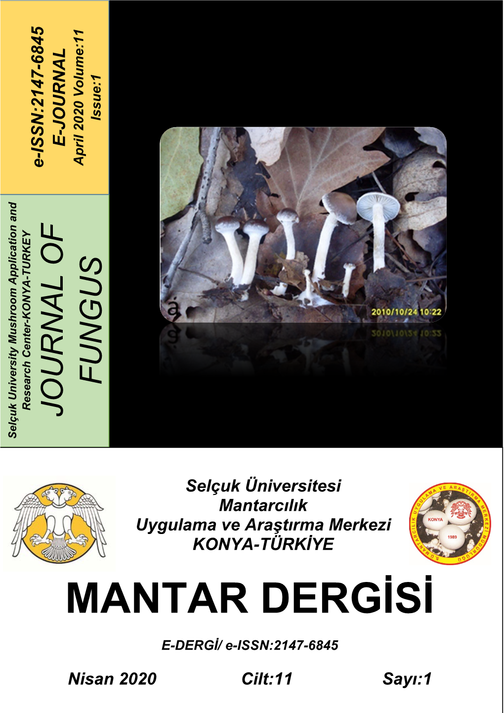 Mantar Dergisi