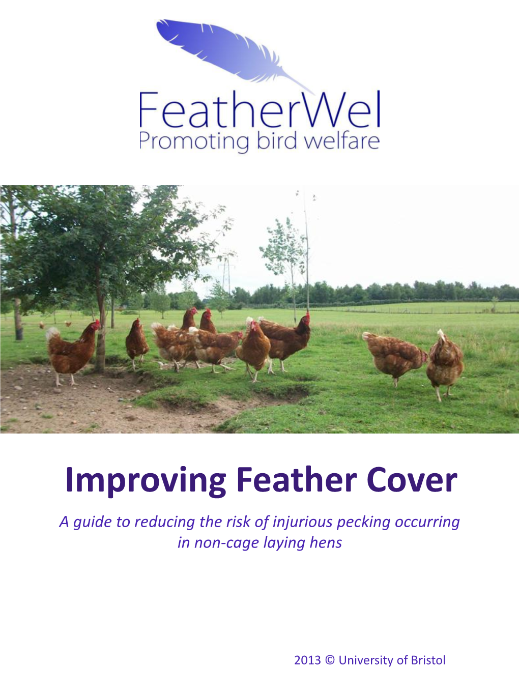 Improving Feather Cover a Guide to Reducing the Risk of Injurious Pecking Occurring in Non-Cage Laying Hens