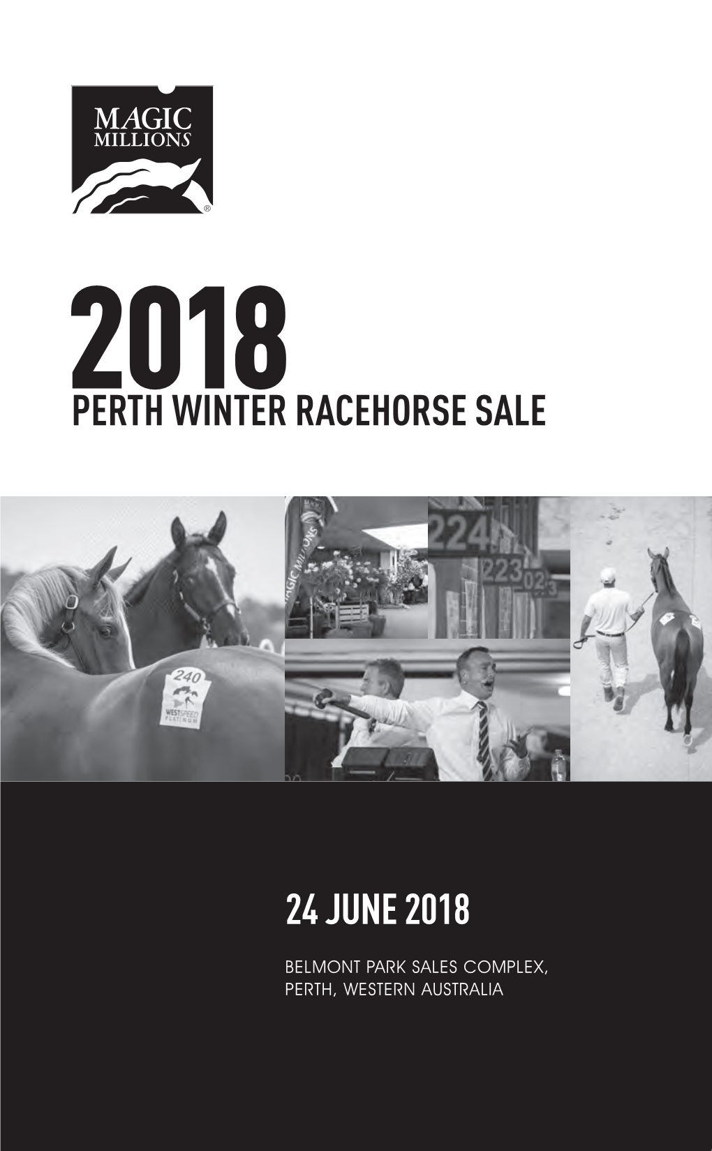 Racehorse Sale