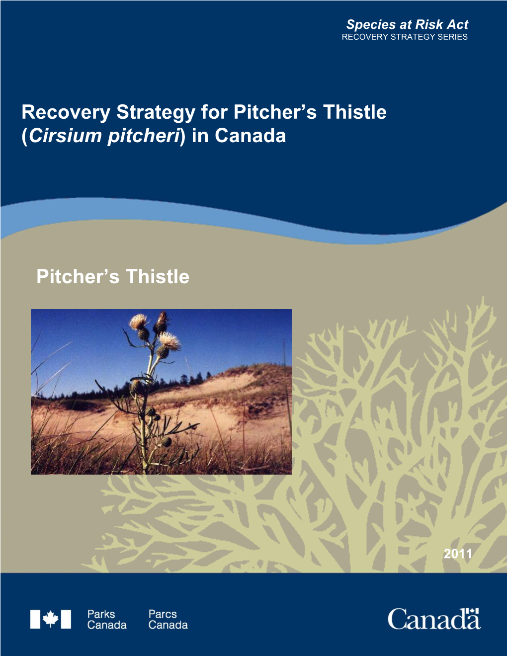 Recovery Strategy for Pitcher's Thistle (Cirsium Pitcheri) in Canada