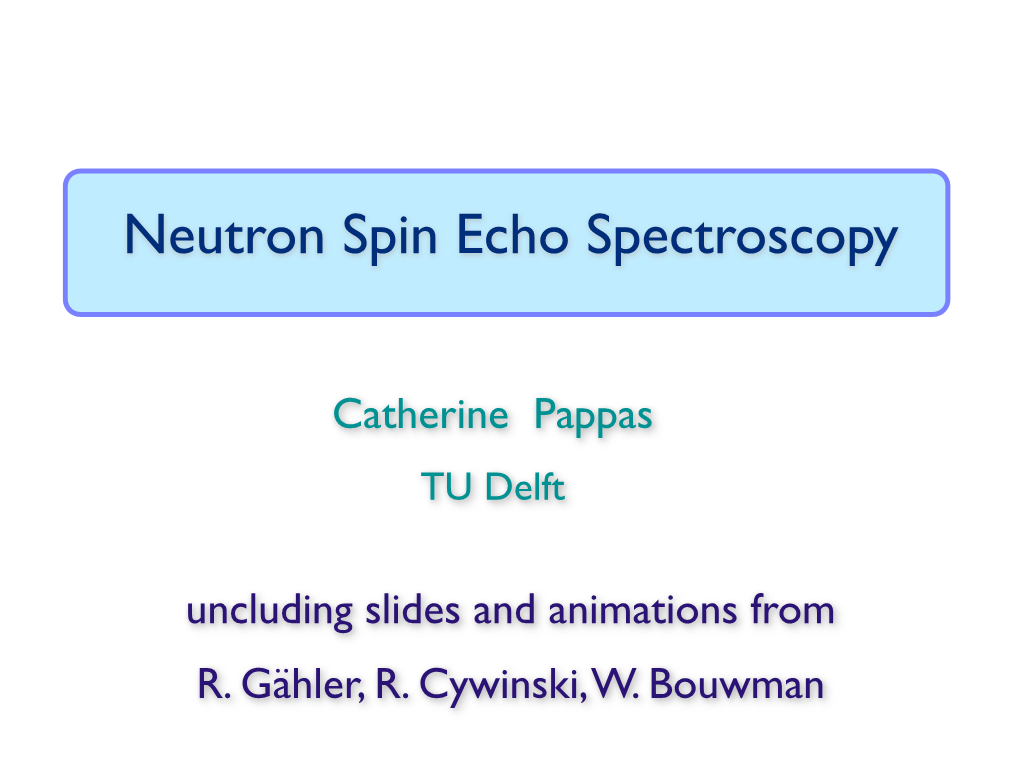 Neutron Spin Echo Spectroscopy