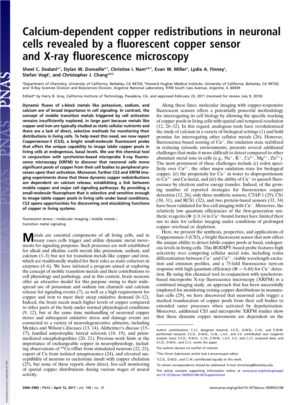 Calcium-Dependent Copper Redistributions in Neuronal Cells Revealed by a Fluorescent Copper Sensor and X-Ray Fluorescence Microscopy