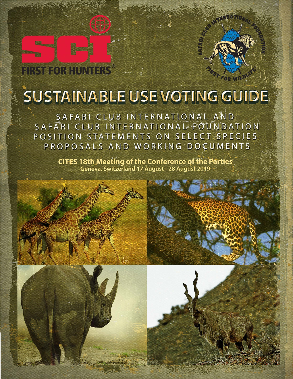 Cop18 English Voting Guide
